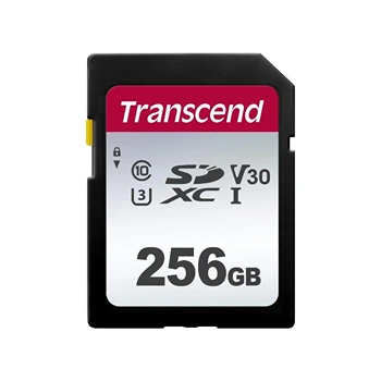 Camera Memory Card